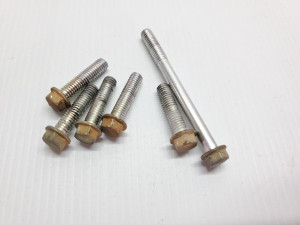 Yamaha YZ250 2010 Outer Clutch Cover Bolts YZ 125 250 07-13  + 18-21 #873