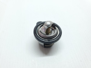 Yamaha WR250R 2013 Thermostat WR 250 R 08-20 #874