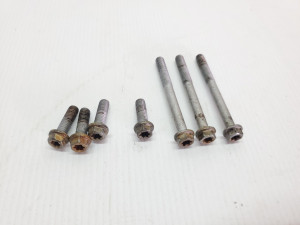Husqvarna TE250i 2019 Outer Clutch Cover Bolts TE 250 300 18-22 + Other Models #883 KTM