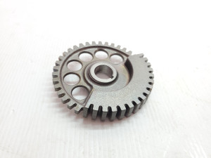  Husqvarna TE250i 2019 Balance Shaft Gear TE 250 300 17-25  #883 KTM